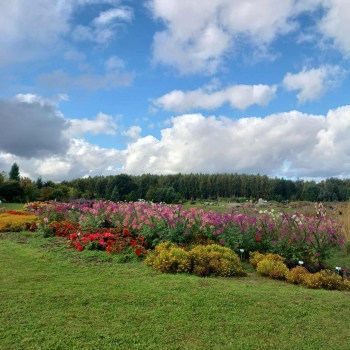 225be3e0-9602-4589-962c-8d85783e9ea9 (1).jpeg