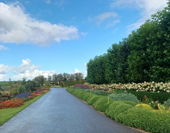 faff9cea-d410-4f3e-bc2c-d631457f2ed3 (1).jpeg