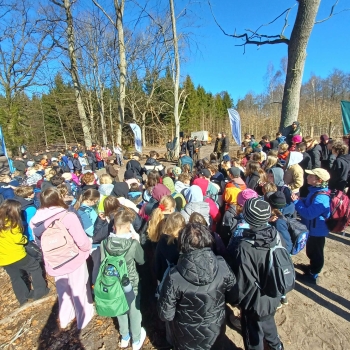 d1b30a66-e217-40b3-a1bd-5333fb21e81b