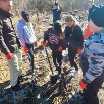 aa9ff737-7f2f-43f0-a735-0a069a55f013