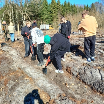 4173e040-ca38-4d0e-820f-34f492011170