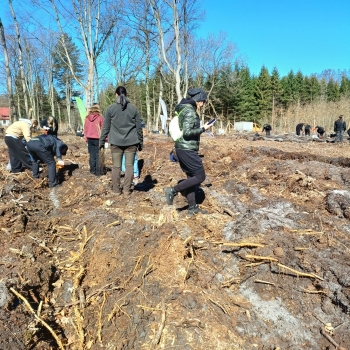 e98c551e-423a-405f-8d10-ed255572da74