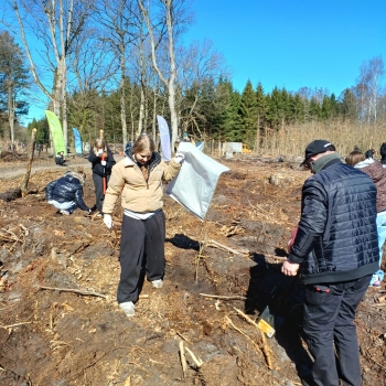 a5175228-0dfd-4935-b551-a0472c1e5de0