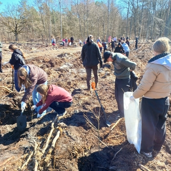 3eb097a4-af03-4df7-8af5-b104013631a0