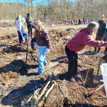 51f2a541-113c-4b0d-abf7-373f89d46a79