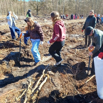 8b6e1e5b-b7a4-4e41-a132-c227eb223bba