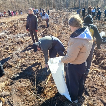 e15da1ce-0d08-4dd4-a978-588ef2852869