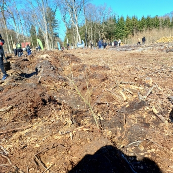 56873843-d0c1-48c6-8704-85b51a0b6019