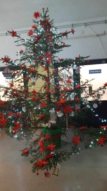 Pierwsza europejska choinka. European Christmas Tree w SP 1